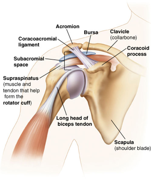 SHOULDER IMPINGEMENT SYNDROME image